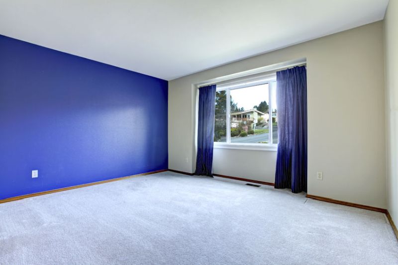 26606649 - empty room with lavender carpet floor  royal wall and purple curtains