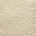 10440307 - soft beige cotton fabric texture